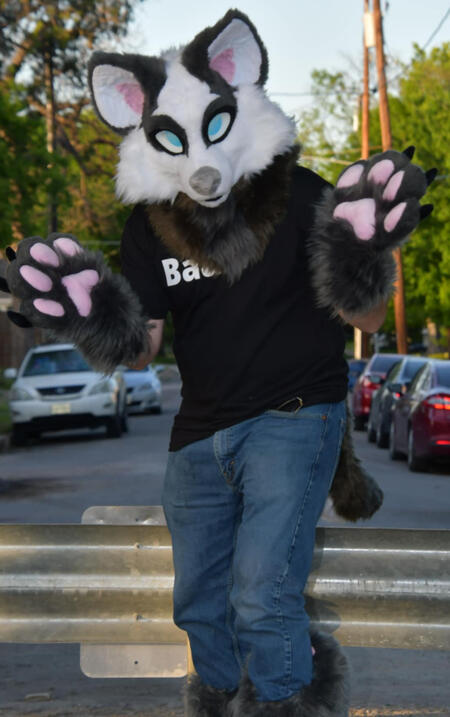 Project 13 handpaws